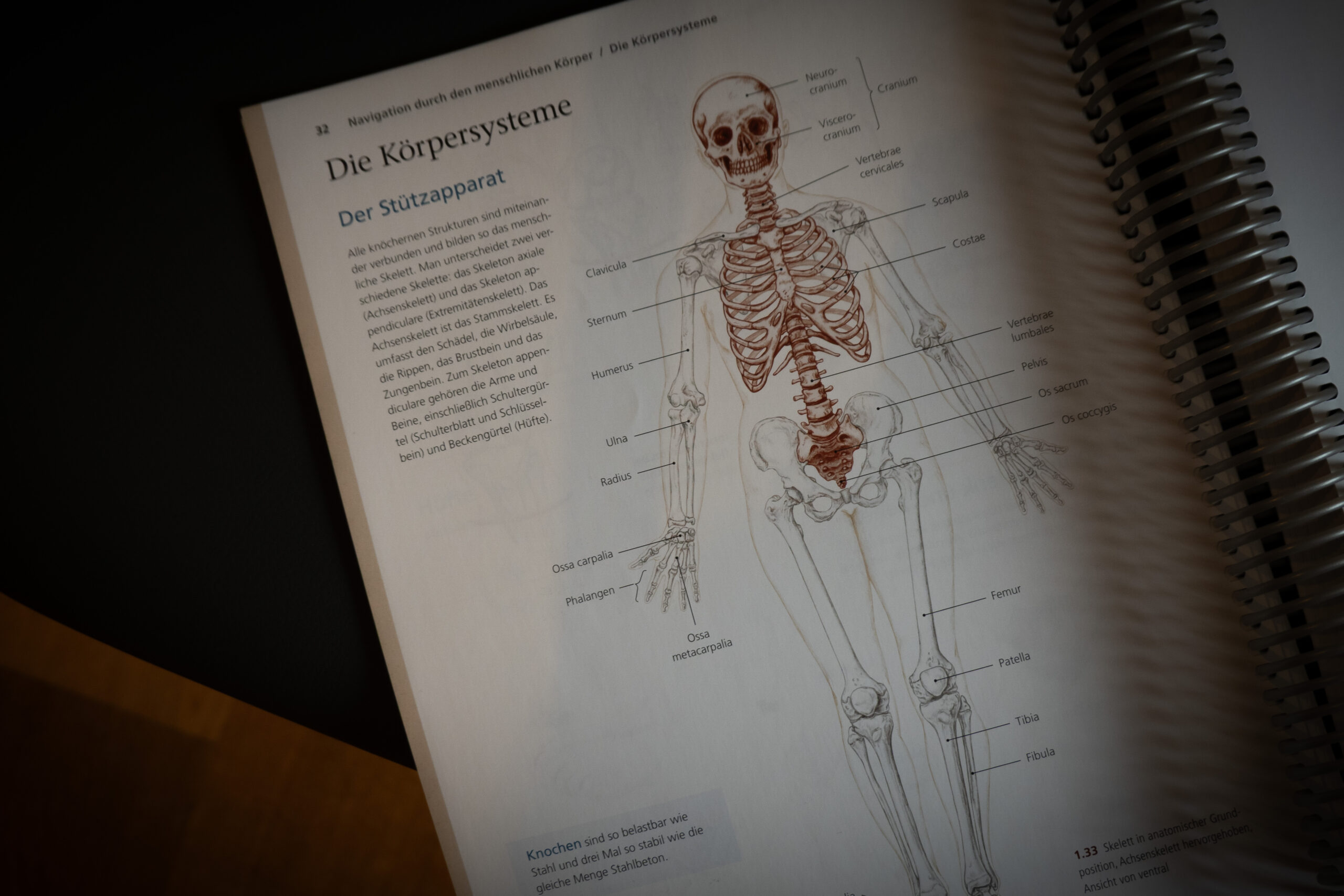 Anatomy book